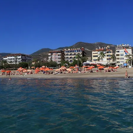 Wien Star Αλάνια