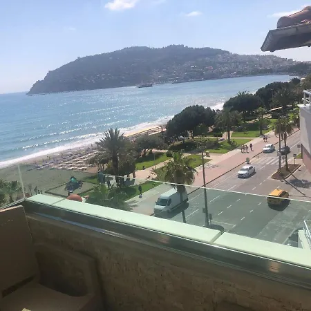 Wien Star Αλάνια